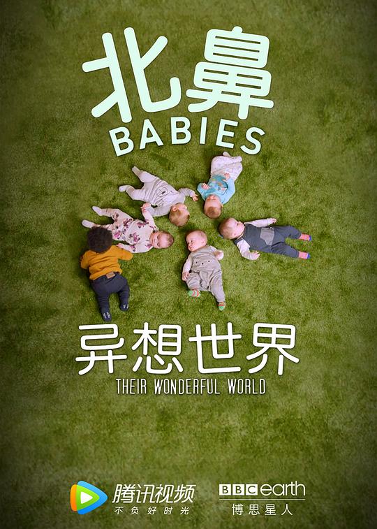 北鼻异想世界The Wonderful World of Babies(2018)插图%4K电影下载_3D影视资源_杜比视界迅雷下载