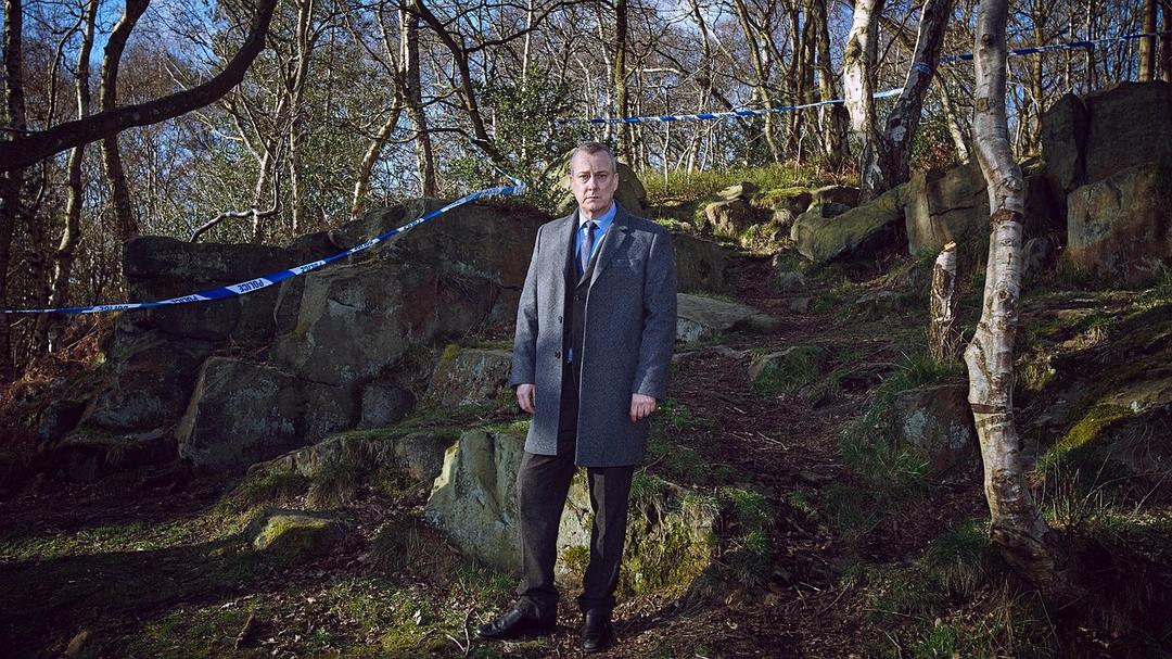 督察班克斯DCI Banks(2010 – 2016)插图2%4K电影下载_3D影视资源_杜比视界迅雷下载