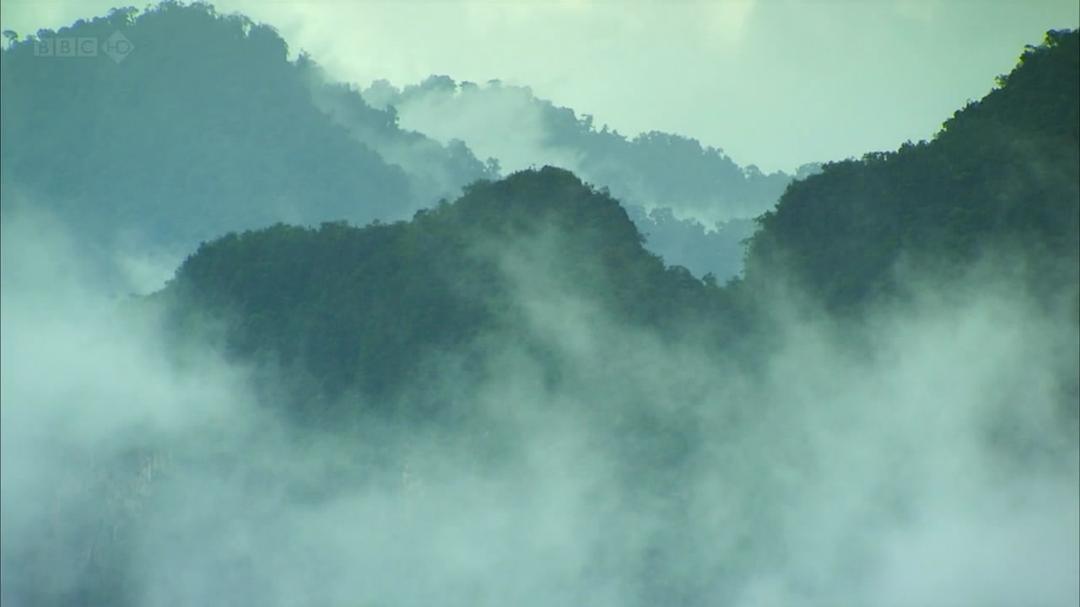 种出个地球How to Grow a Planet(2012 – 2013)插图1%4K电影下载_3D影视资源_杜比视界迅雷下载