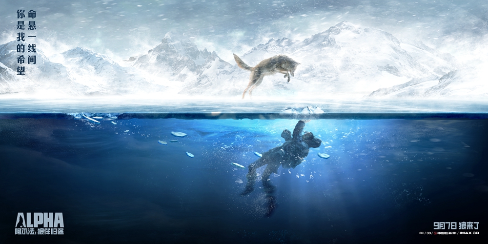 阿尔法：狼伴归途Alpha(2018)插图1%4K电影下载_3D影视资源_杜比视界迅雷下载