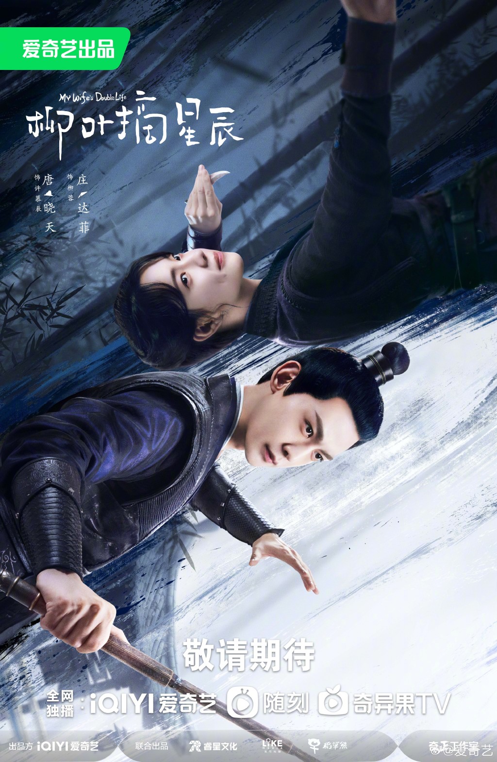 柳叶摘星辰My Wife’s Double Life(2024)插图1%4K电影下载_3D影视资源_杜比视界迅雷下载