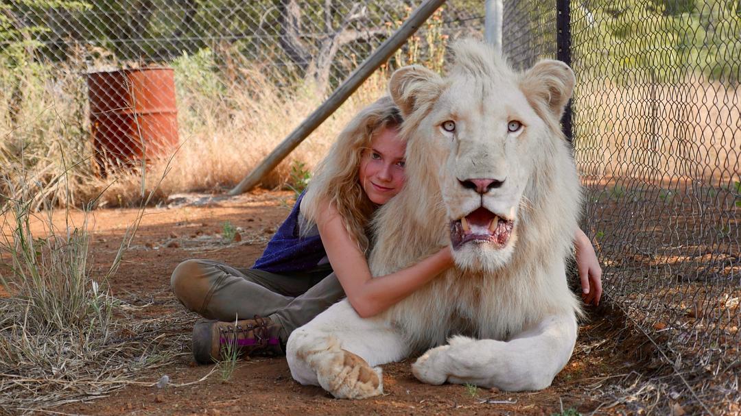 白狮奇缘Mia and the White Lion(2018)插图2%4K电影下载_3D影视资源_杜比视界迅雷下载