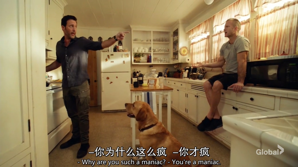 夏威夷特勤组Hawaii Five-0(2010 – 2019)插图2%4K电影下载_3D影视资源_杜比视界迅雷下载