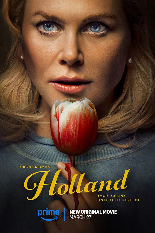 荷兰镇Holland(2025)插图%4K电影下载_3D影视资源_杜比视界迅雷下载