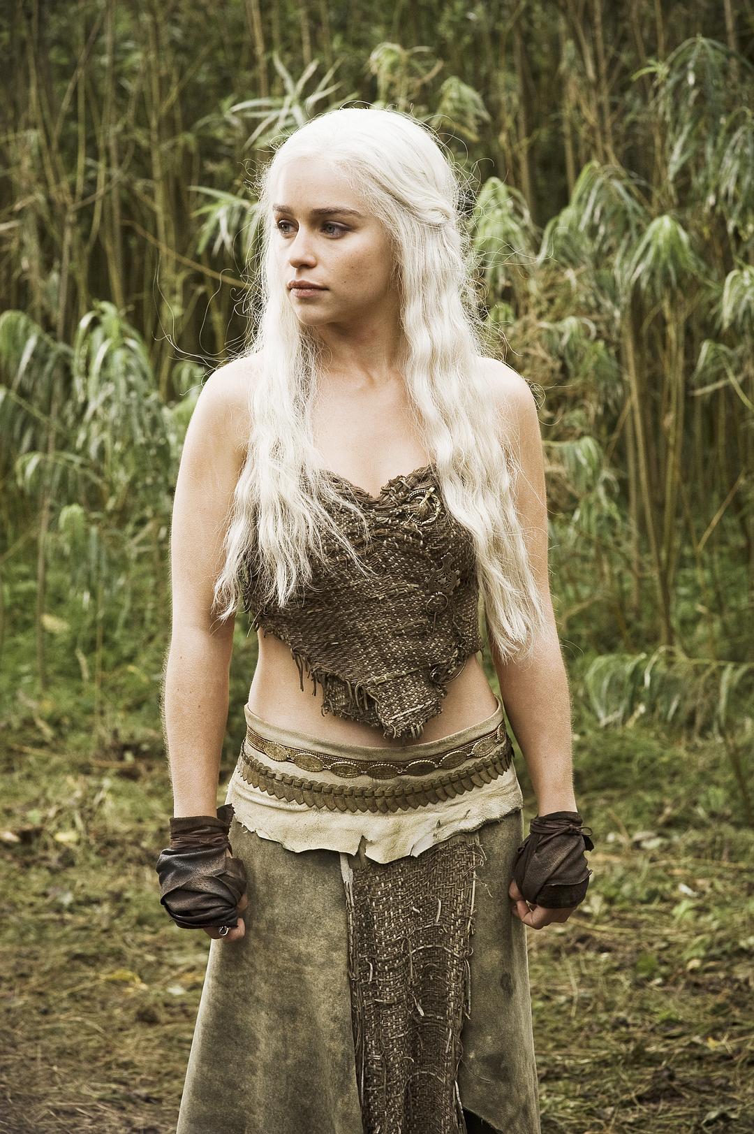权力的游戏Game of Thrones(2011 – 2019)插图2%4K电影下载_3D影视资源_杜比视界迅雷下载