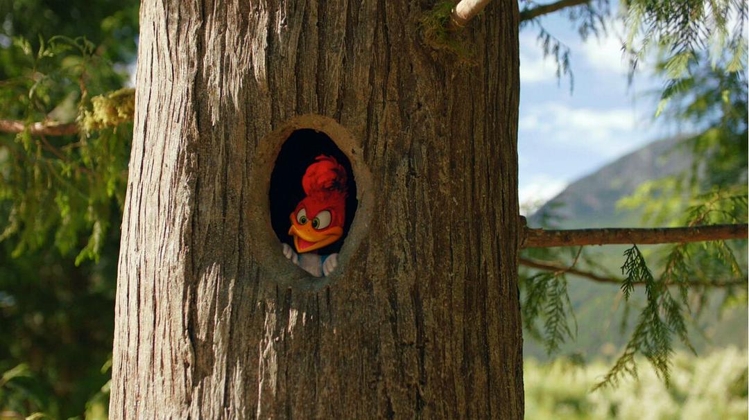 啄木鸟伍迪Woody Woodpecker(2017)插图2%4K电影下载_3D影视资源_杜比视界迅雷下载