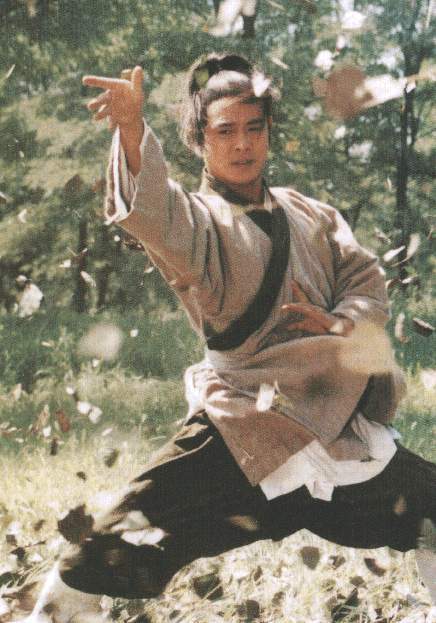 太极张三丰Tai-Chi Master(1993)插图1%4K电影下载_3D影视资源_杜比视界迅雷下载