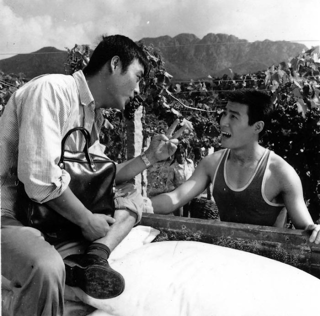 喜盈门In-Laws(1981)插图1%4K电影下载_3D影视资源_杜比视界迅雷下载
