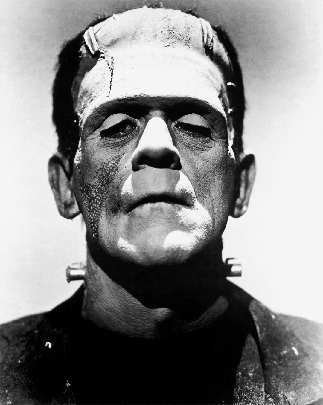 科学怪人Frankenstein(1931)插图1%4K电影下载_3D影视资源_杜比视界迅雷下载