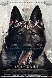 血狼犬The Blood Hound(2017)插图%4K电影下载_3D影视资源_杜比视界迅雷下载
