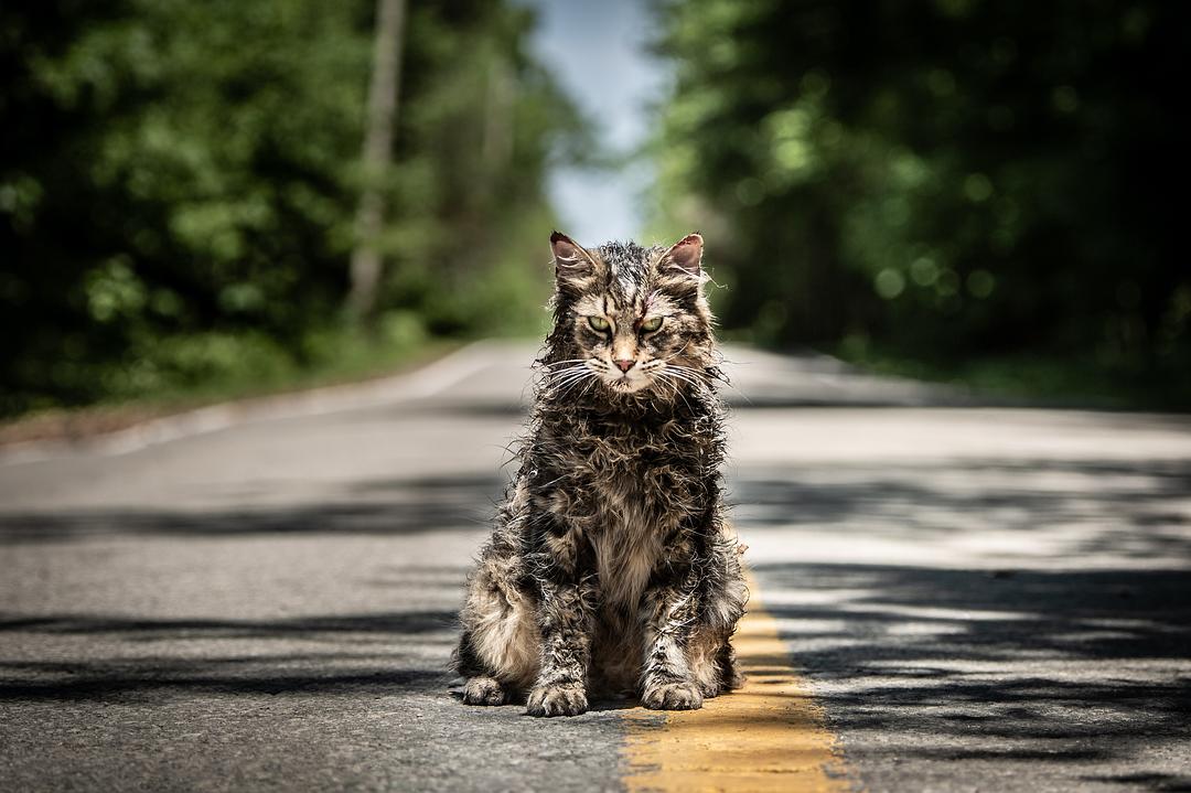 宠物坟场Pet Sematary(2019)插图1%4K电影下载_3D影视资源_杜比视界迅雷下载
