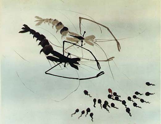 小蝌蚪找妈妈Xiao ke dou zhao ma ma(1960)插图1%4K电影下载_3D影视资源_杜比视界迅雷下载