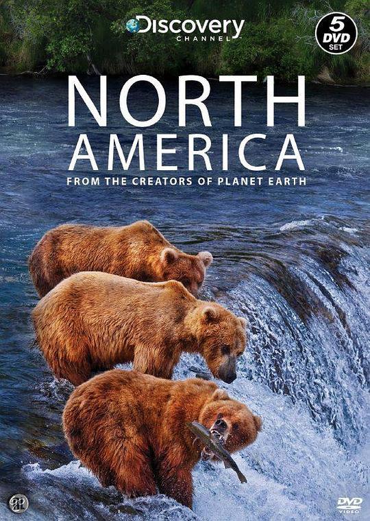 北美大地North America(2013)插图%4K电影下载_3D影视资源_杜比视界迅雷下载