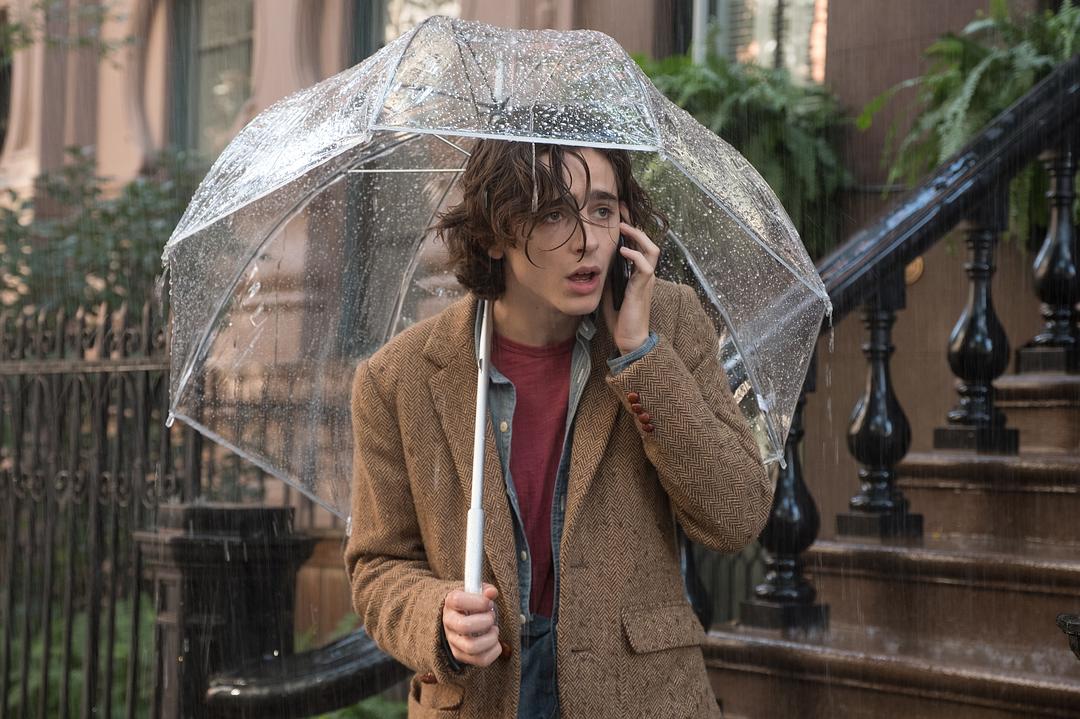 纽约的一个雨天A Rainy Day in New York(2019)插图2%4K电影下载_3D影视资源_杜比视界迅雷下载