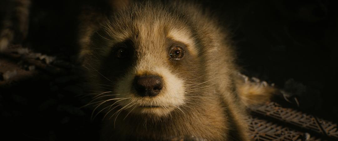 银河护卫队3Guardians of the Galaxy Vol. 3(2023)插图2%4K电影下载_3D影视资源_杜比视界迅雷下载