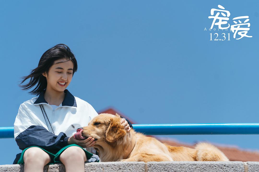 宠爱Chong ai(2019)插图1%4K电影下载_3D影视资源_杜比视界迅雷下载