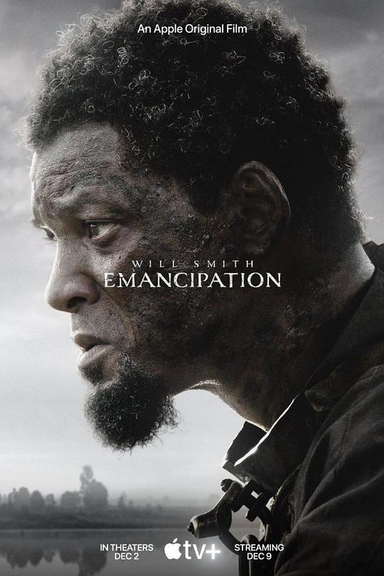 解放黑奴Emancipation(2022)插图%4K电影下载_3D影视资源_杜比视界迅雷下载
