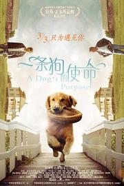 一条狗的使命A Dog’s Purpose(2017)插图%4K电影下载_3D影视资源_杜比视界迅雷下载