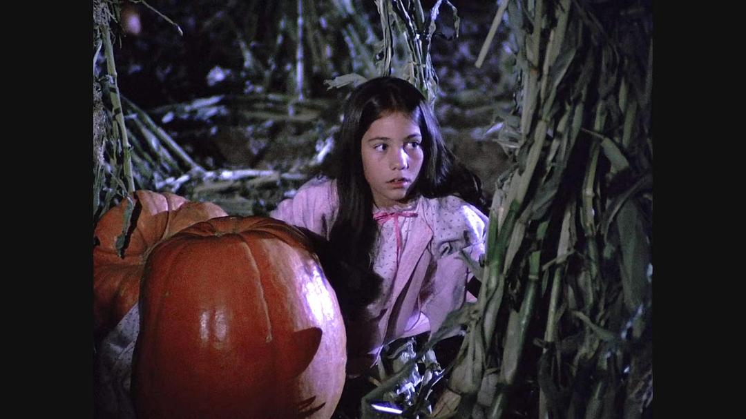 稻草人的黑夜Dark Night of the Scarecrow(1981)插图2%4K电影下载_3D影视资源_杜比视界迅雷下载