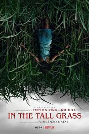 高草丛中In the Tall Grass(2019)插图%4K电影下载_3D影视资源_杜比视界迅雷下载