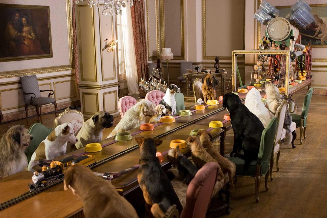 狗狗旅馆Hotel for Dogs(2009)插图2%4K电影下载_3D影视资源_杜比视界迅雷下载