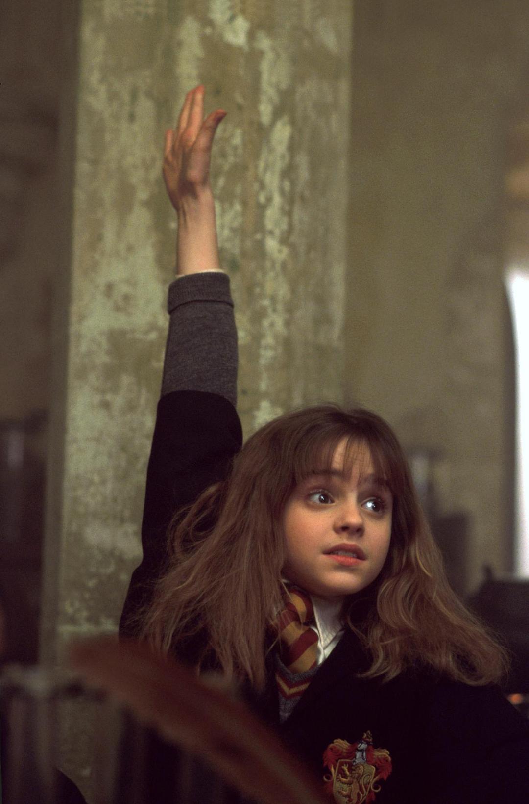 哈利·波特与魔法石Harry Potter and the Sorcerer’s Stone(2001)插图1%4K电影下载_3D影视资源_杜比视界迅雷下载