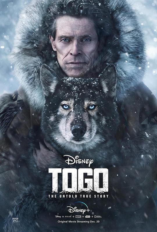 多哥Togo(2019)插图%4K电影下载_3D影视资源_杜比视界迅雷下载