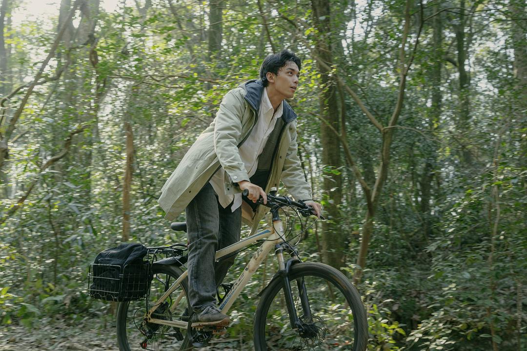 草木人间Dwelling by the West Lake(2023)插图2%4K电影下载_3D影视资源_杜比视界迅雷下载