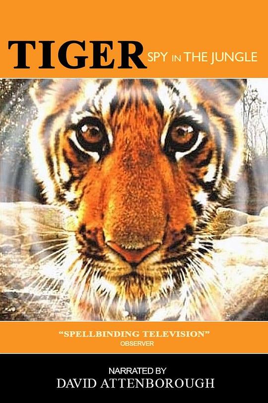 虎：丛林中窥探Tiger: Spy in the Jungle(2008)插图%4K电影下载_3D影视资源_杜比视界迅雷下载