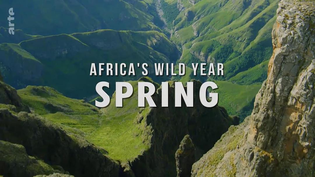 狂野非洲-四季Africa’s wild year(2021)插图1%4K电影下载_3D影视资源_杜比视界迅雷下载