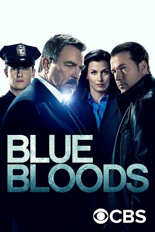 警察世家Blue Bloods(2010 – 2024)插图%4K电影下载_3D影视资源_杜比视界迅雷下载