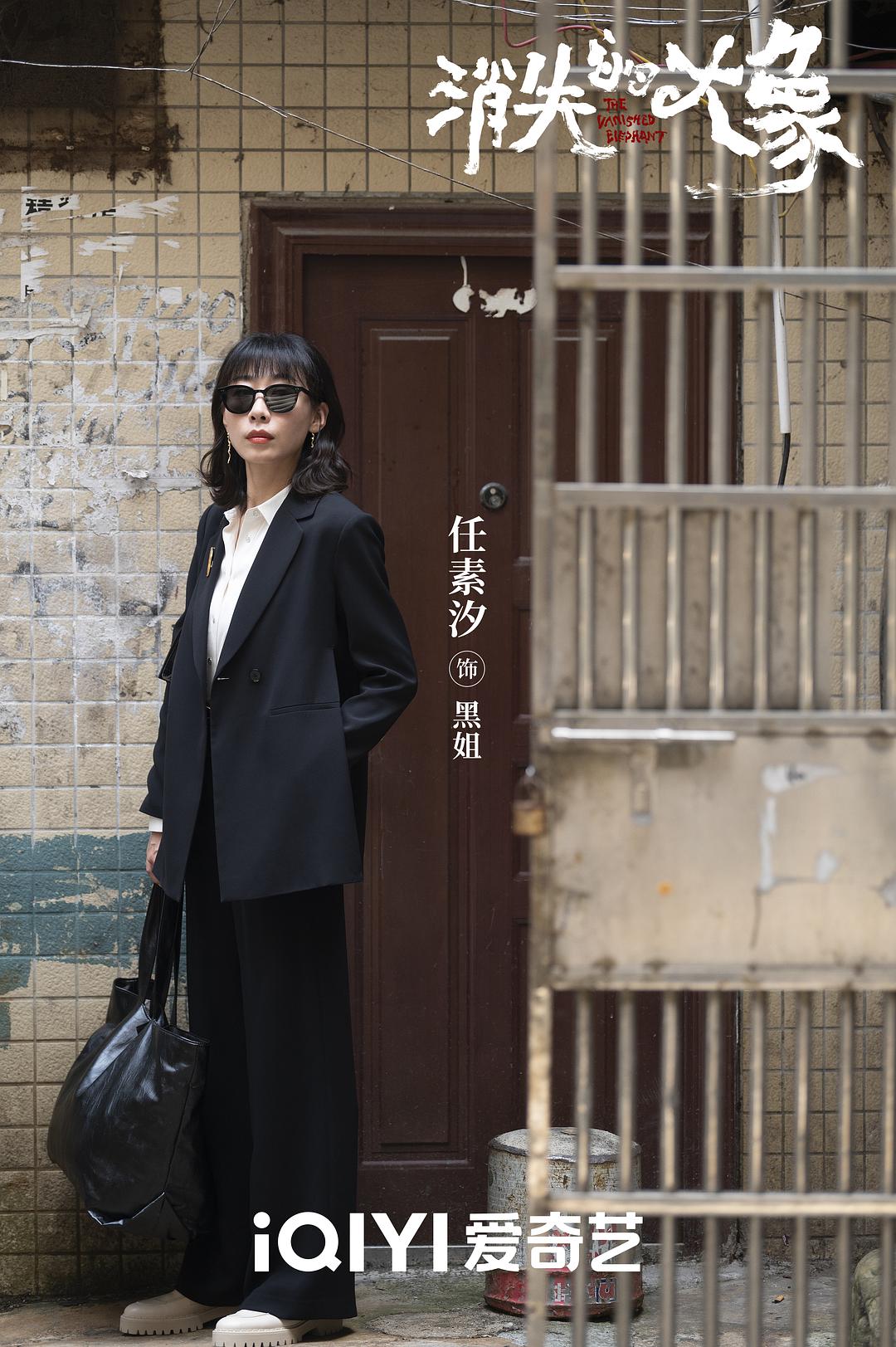 消失的大象The Vanished Elephant(2024)插图1%4K电影下载_3D影视资源_杜比视界迅雷下载