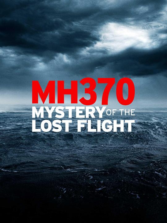 MH370：消失的航班MH370: The Plane That Disappeared(2023)插图%4K电影下载_3D影视资源_杜比视界迅雷下载