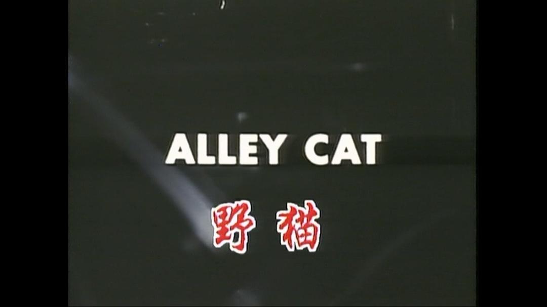 夜猫Alley Cat(1984)插图2%4K电影下载_3D影视资源_杜比视界迅雷下载