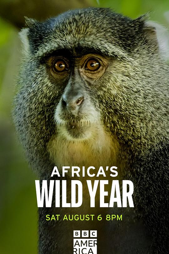 狂野非洲-四季Africa’s wild year(2021)插图%4K电影下载_3D影视资源_杜比视界迅雷下载
