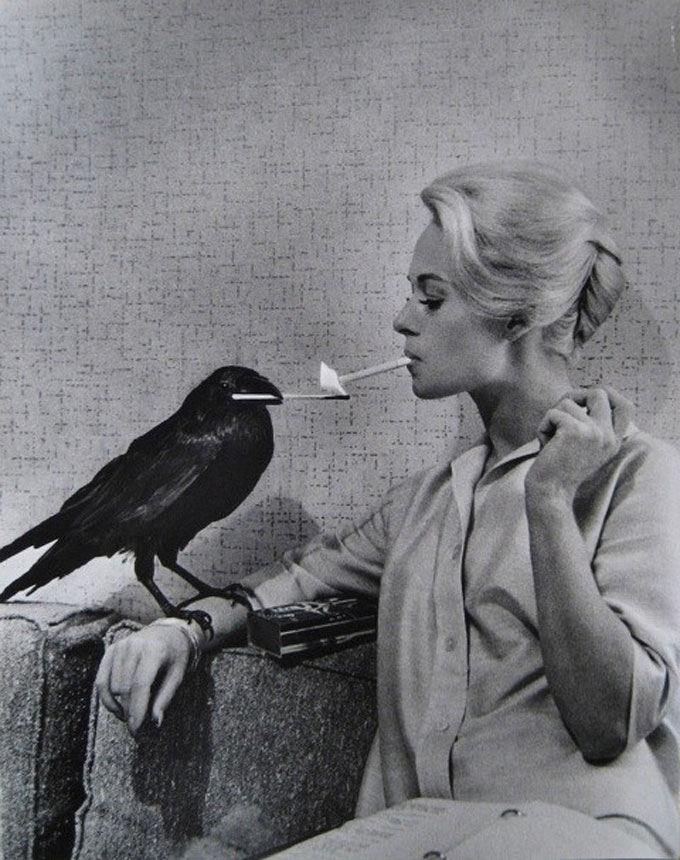 群鸟The Birds(1963)插图1%4K电影下载_3D影视资源_杜比视界迅雷下载
