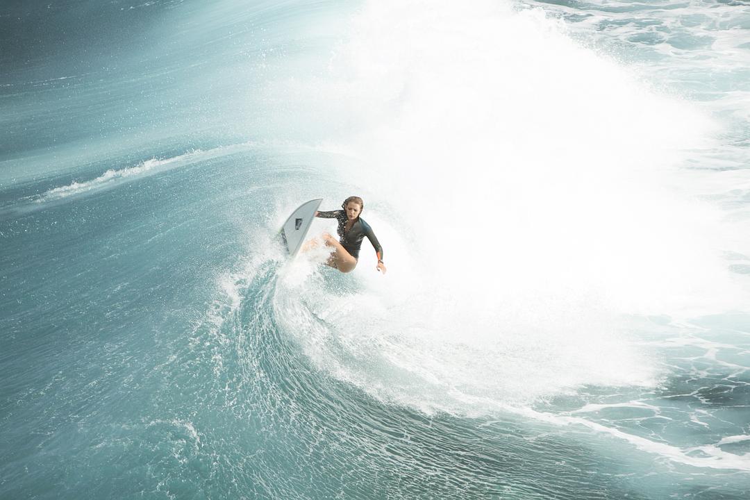鲨滩The Shallows(2016)插图2%4K电影下载_3D影视资源_杜比视界迅雷下载