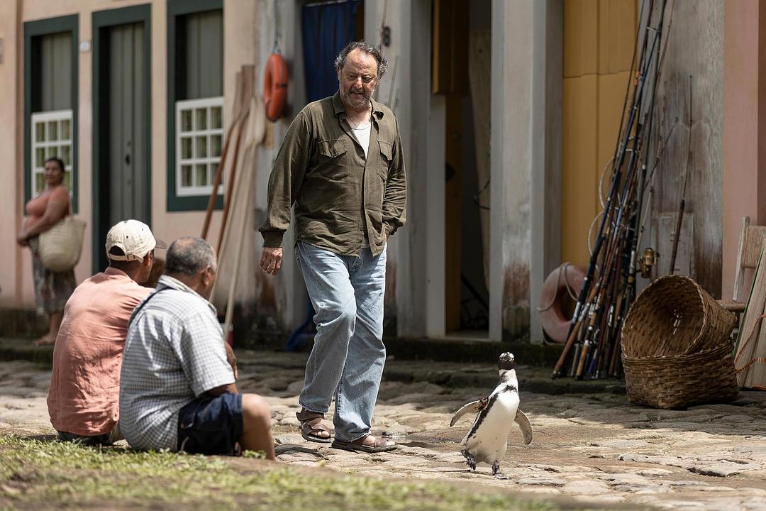 企鹅与渔夫My Penguin Friend(2024)插图2%4K电影下载_3D影视资源_杜比视界迅雷下载