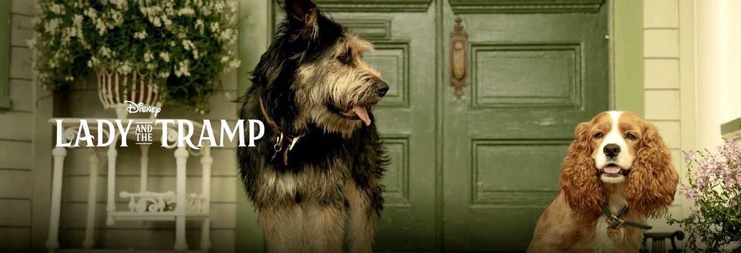 小姐与流浪汉Lady and the Tramp(2019)插图2%4K电影下载_3D影视资源_杜比视界迅雷下载