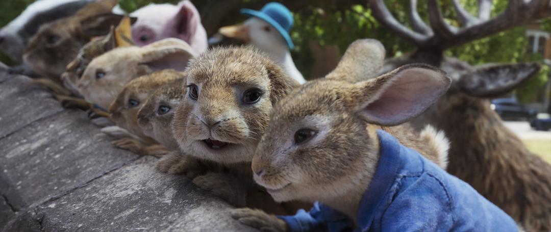 比得兔2：逃跑计划Peter Rabbit 2: The Runaway(2021)插图1%4K电影下载_3D影视资源_杜比视界迅雷下载