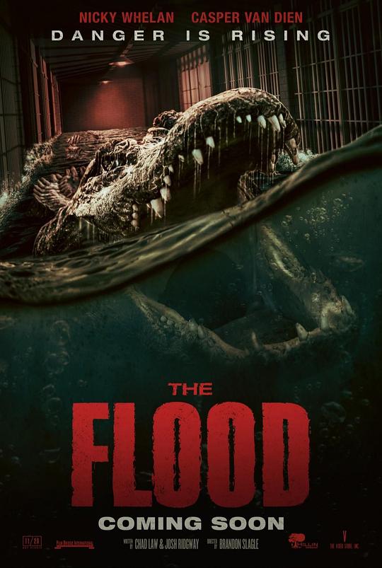 致命洪灾The Flood(2023)插图%4K电影下载_3D影视资源_杜比视界迅雷下载