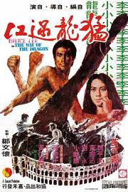 猛龙过江Meng long guo jiang(1972)插图%4K电影下载_3D影视资源_杜比视界迅雷下载