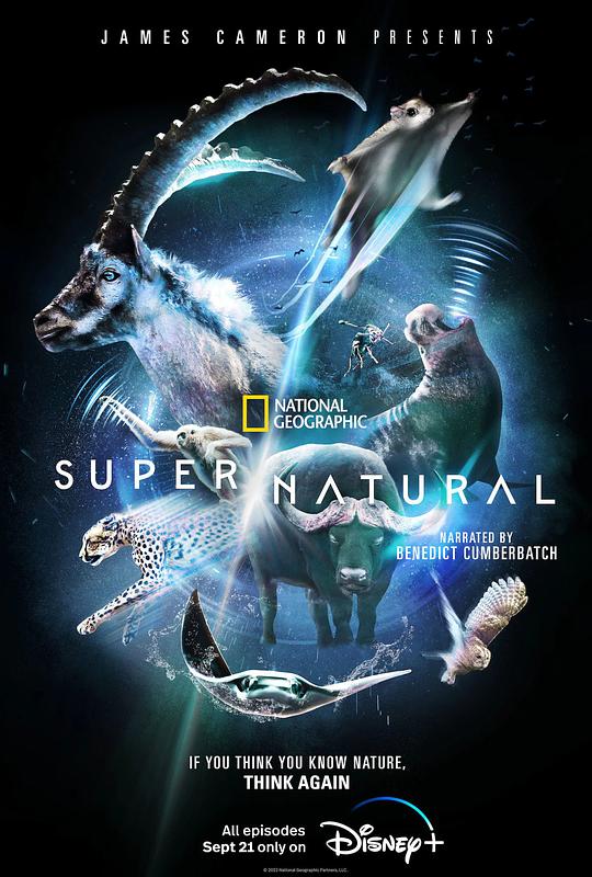 超/自然Super/Natural(2022)插图%4K电影下载_3D影视资源_杜比视界迅雷下载