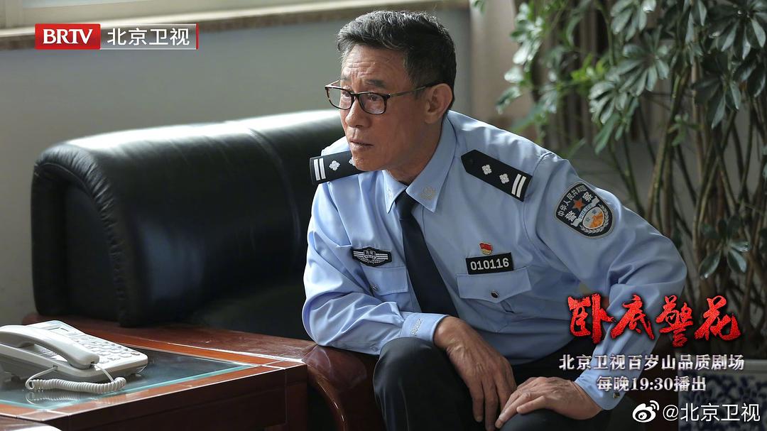 卧底警花Wo De Jing Hua(2023)插图1%4K电影下载_3D影视资源_杜比视界迅雷下载