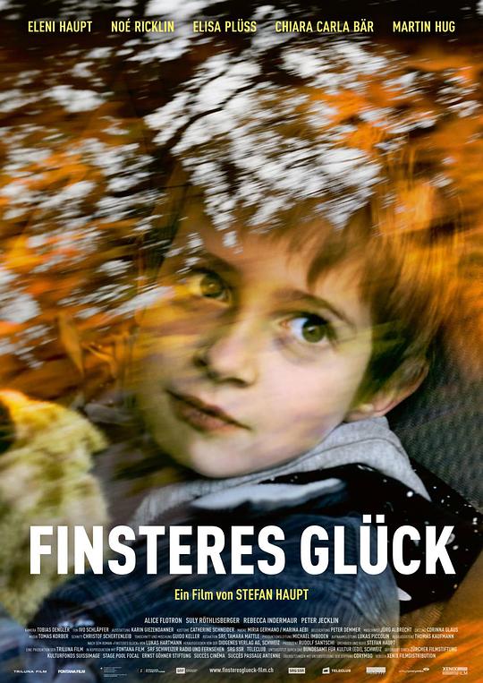 险恶的运气Finsteres Glück(2016)插图%4K电影下载_3D影视资源_杜比视界迅雷下载