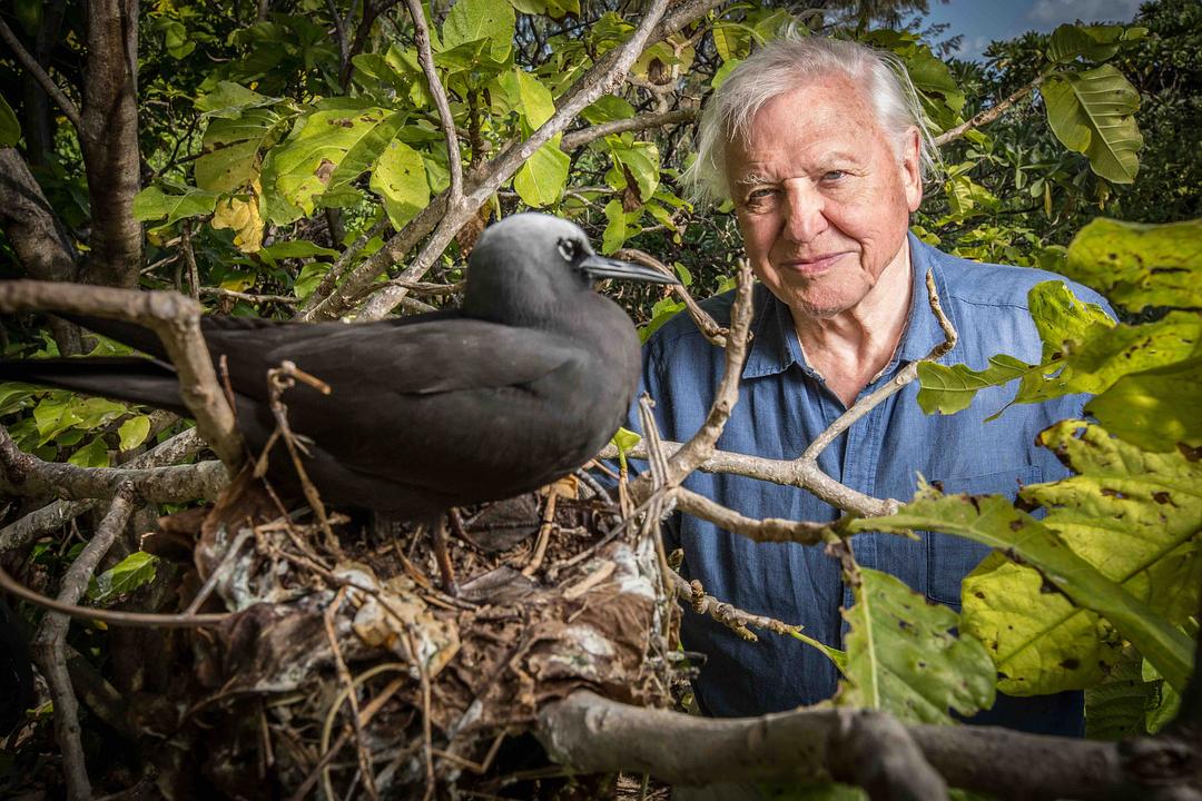 大卫·爱登堡的全球探险David Attenborough’s Global Adventures(2021)插图2%4K电影下载_3D影视资源_杜比视界迅雷下载
