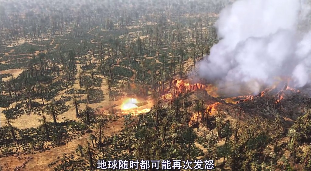 动物的末日Animal Armageddon(2009)插图2%4K电影下载_3D影视资源_杜比视界迅雷下载