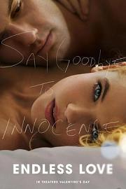 无尽的爱Endless Love(2014)插图%4K电影下载_3D影视资源_杜比视界迅雷下载