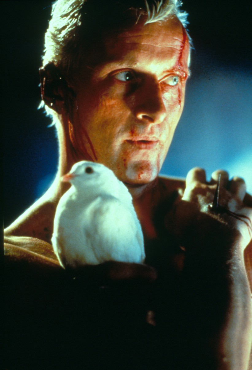 银翼杀手Blade Runner(1982)插图2%4K电影下载_3D影视资源_杜比视界迅雷下载