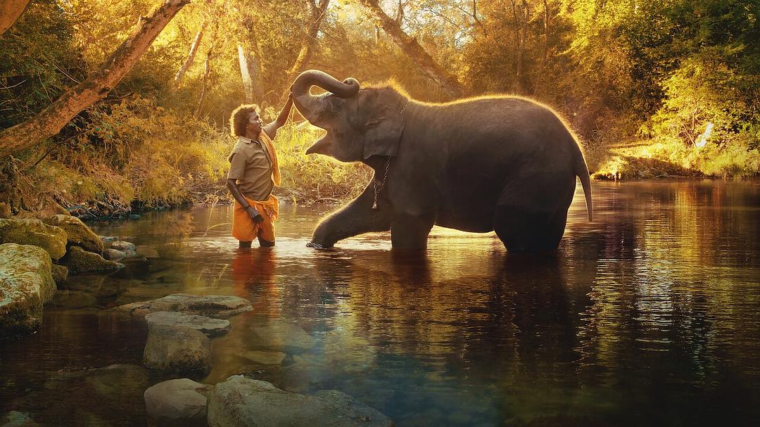 小象守护者The Elephant Whisperers(2022)插图1%4K电影下载_3D影视资源_杜比视界迅雷下载